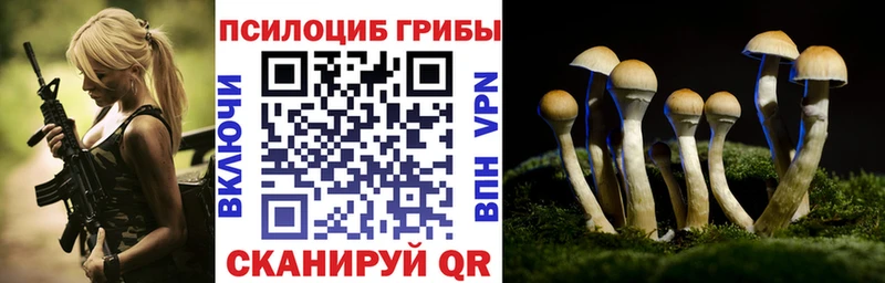 Галлюциногенные грибы MAGIC MUSHROOMS  Пенза 