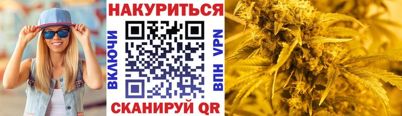 где продают   Пенза  Каннабис ГИДРОПОН 